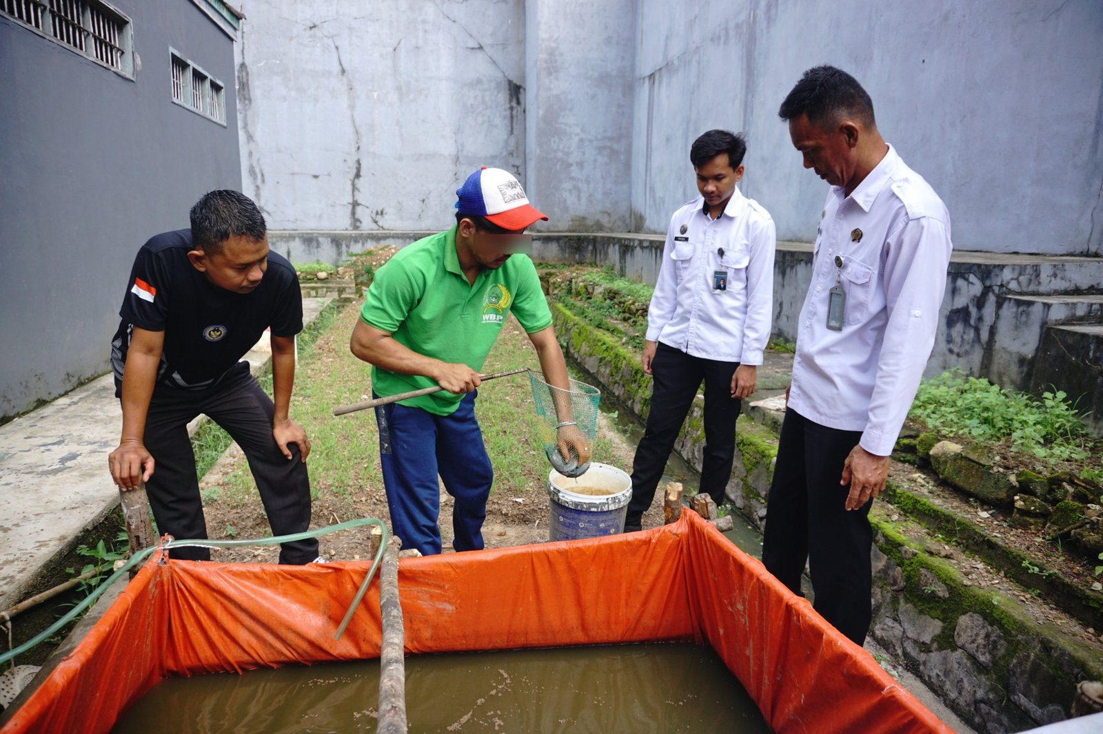 Pindahkan Benih Lele, Lapas Kelas IIB Tanjungpandan  Perkuat Ketahanan Pangan dan Pembinaan Warga Binaan
